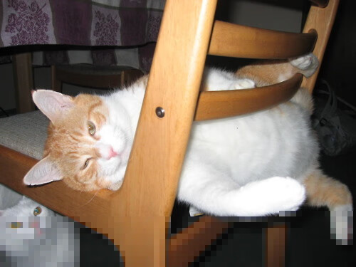 _勇士队火力十足,三分球全场飙升_,勇士队 三分