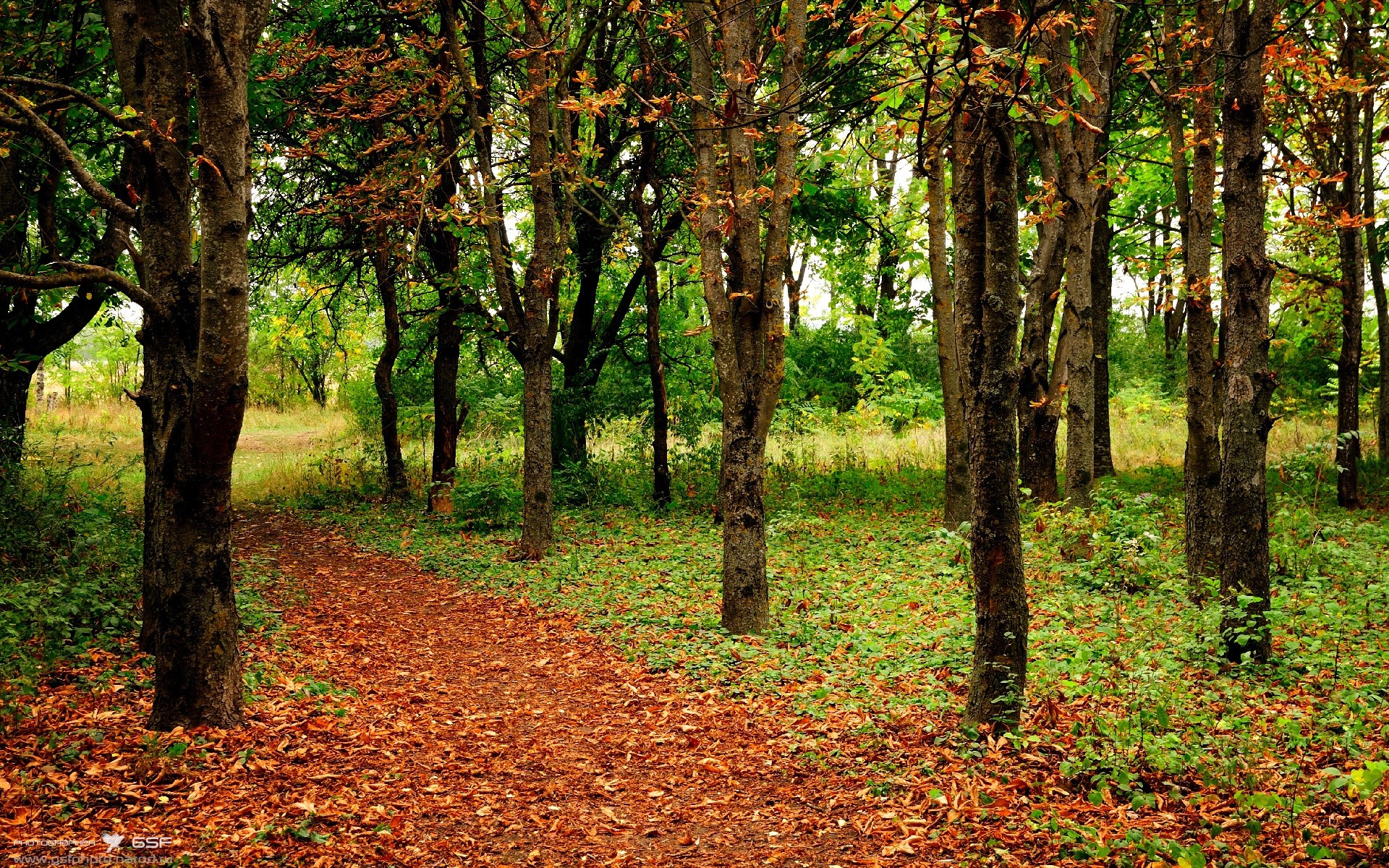 _少年组赛事:青少年的梦想舞台开启_,梦想少年2021