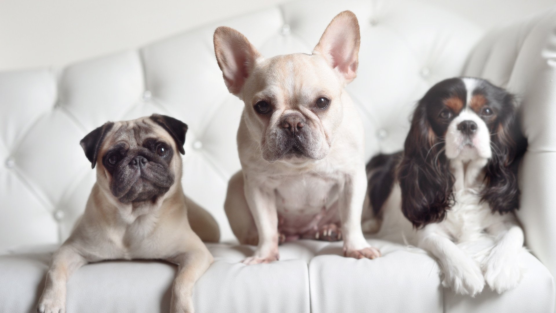 _骑士年轻核心表现抢眼,未来可期_,骑士17