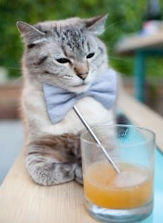 “青少年足球明星巡展启动,激励青年梦想”,青少年足球节目