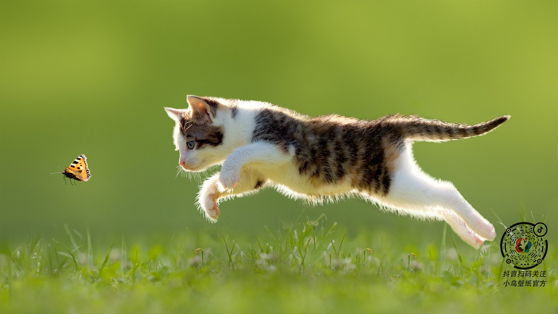 【新手指南】球桌选择与基础技巧入门推荐，球桌是什么意思