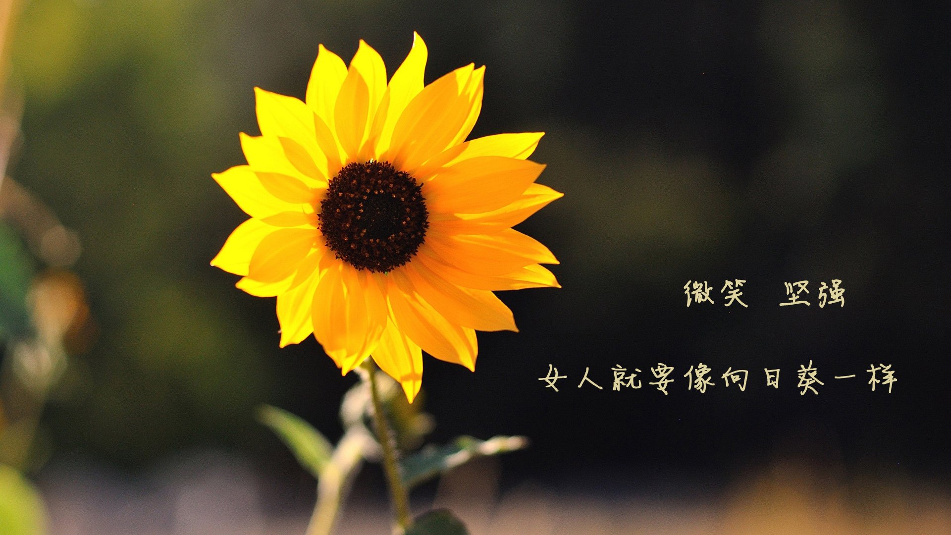 【战术走向未来】借助AI和大数据提前预判开局和变化，未来战术发展趋势