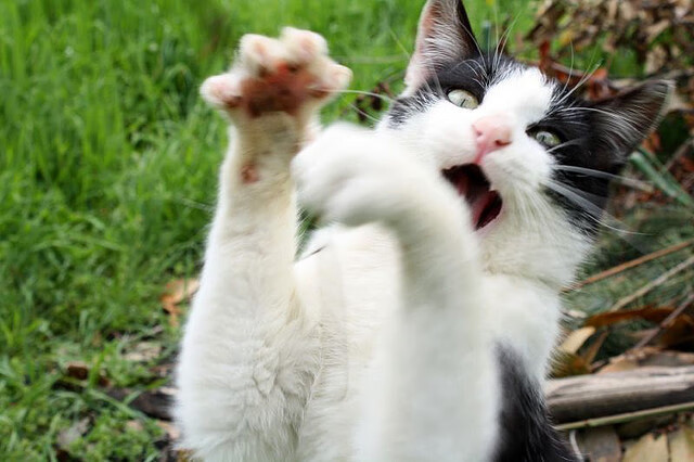 今年NBA季后赛最大“黑马”是哪支队伍?,今年nba季后赛打多少场