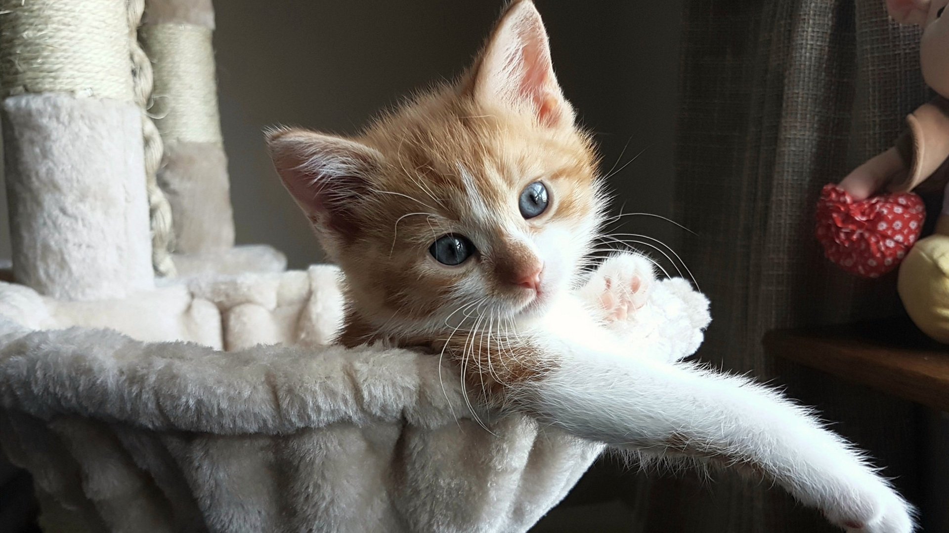 九游网-影响历史：NBA最值得铭记的季后赛片段，nba季后赛球员得分榜历史排名