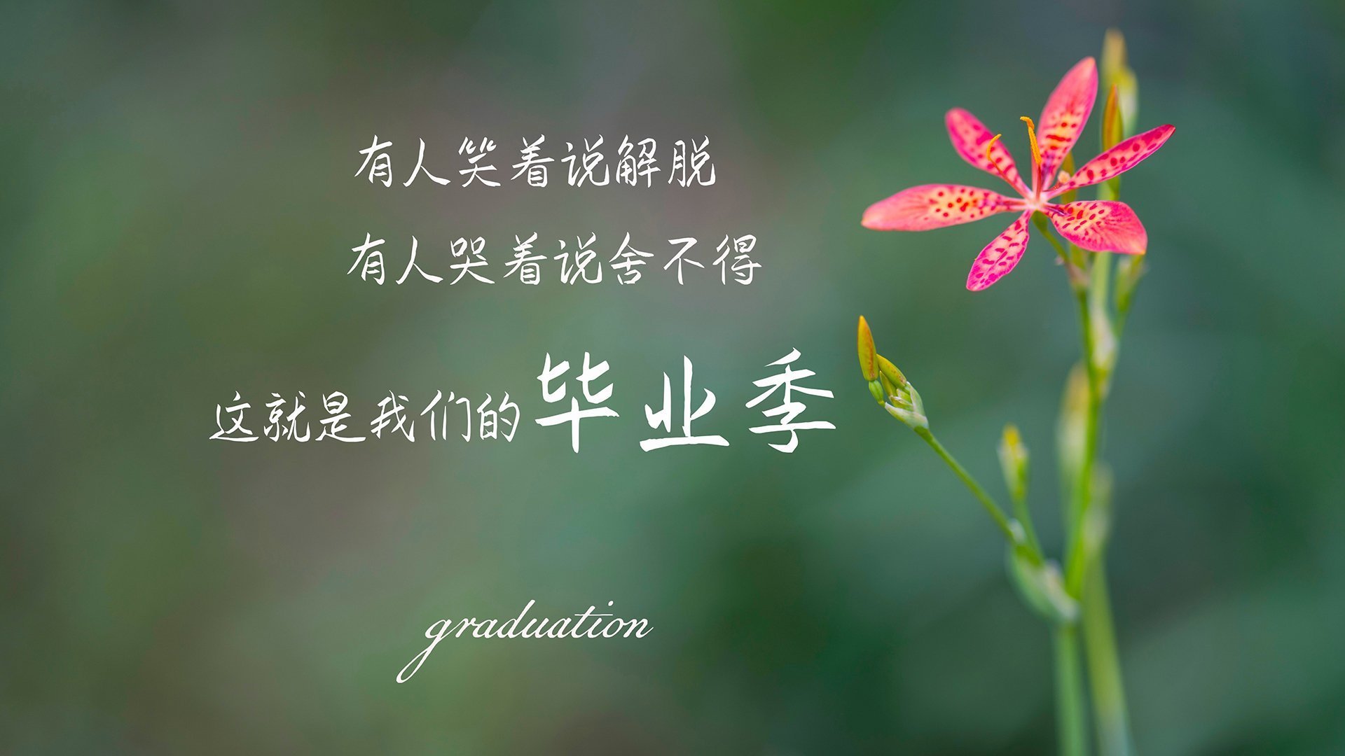 德甲关注青少年成长，推动青训生态系统完善，德甲青训体系