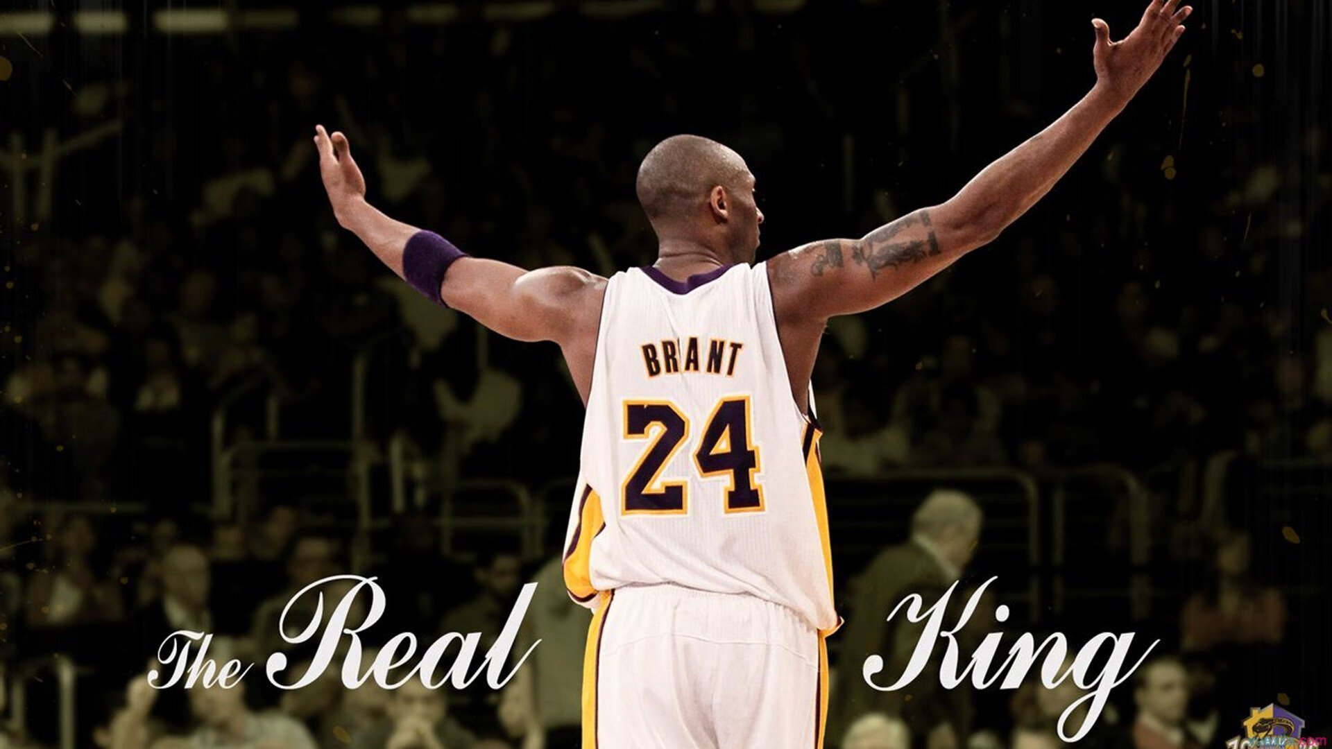 逆转“奇迹之夜”：欧冠赛场上的最震撼瞬间，奇迹之夜专场晚会