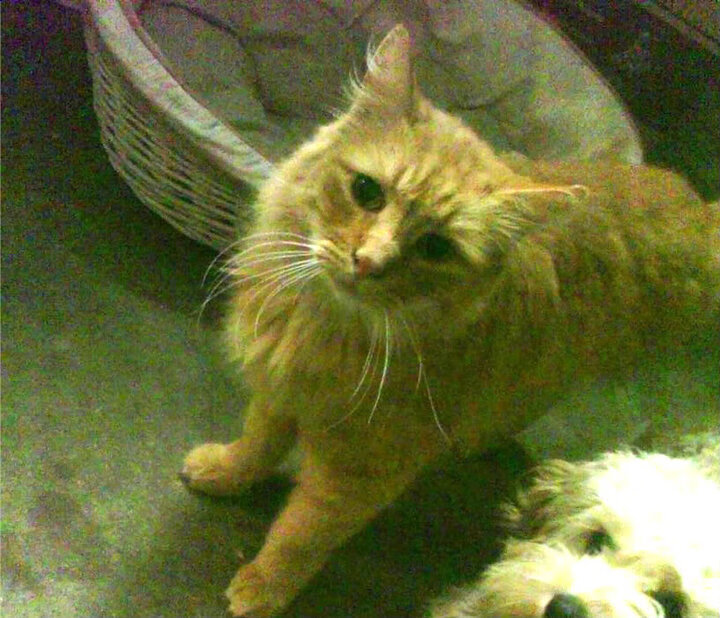 九游（jiuyou.com）游戏-青少年篮球职业化道路探讨会在杭州顺利召开，青少年篮球选拔赛