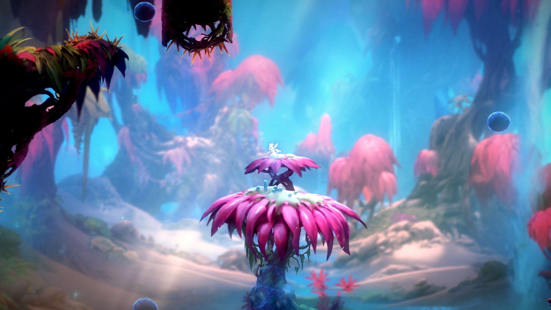 弗赖堡主场击败实力劲旅,展现强大战斗力,弗赖堡主场球衣