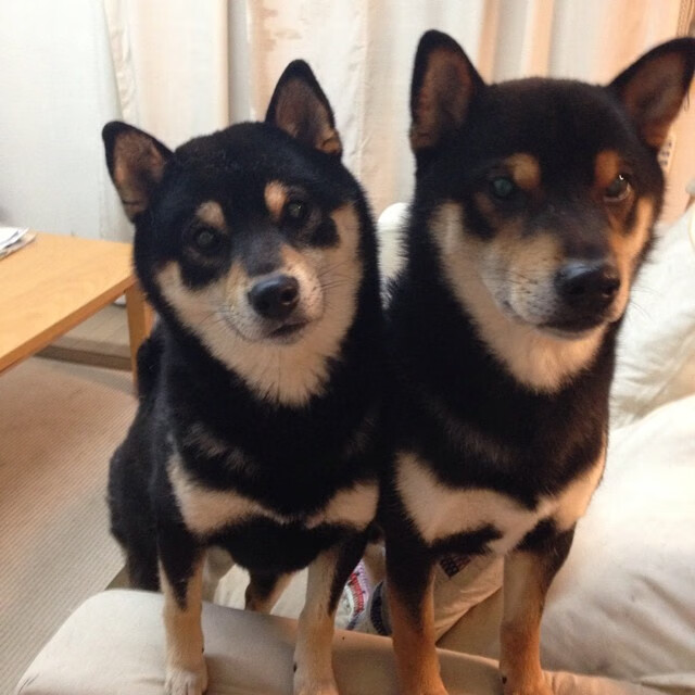 拜仁慕尼黑球员在比赛中展现出色的进攻能力，夺得胜利，拜仁慕尼黑球队