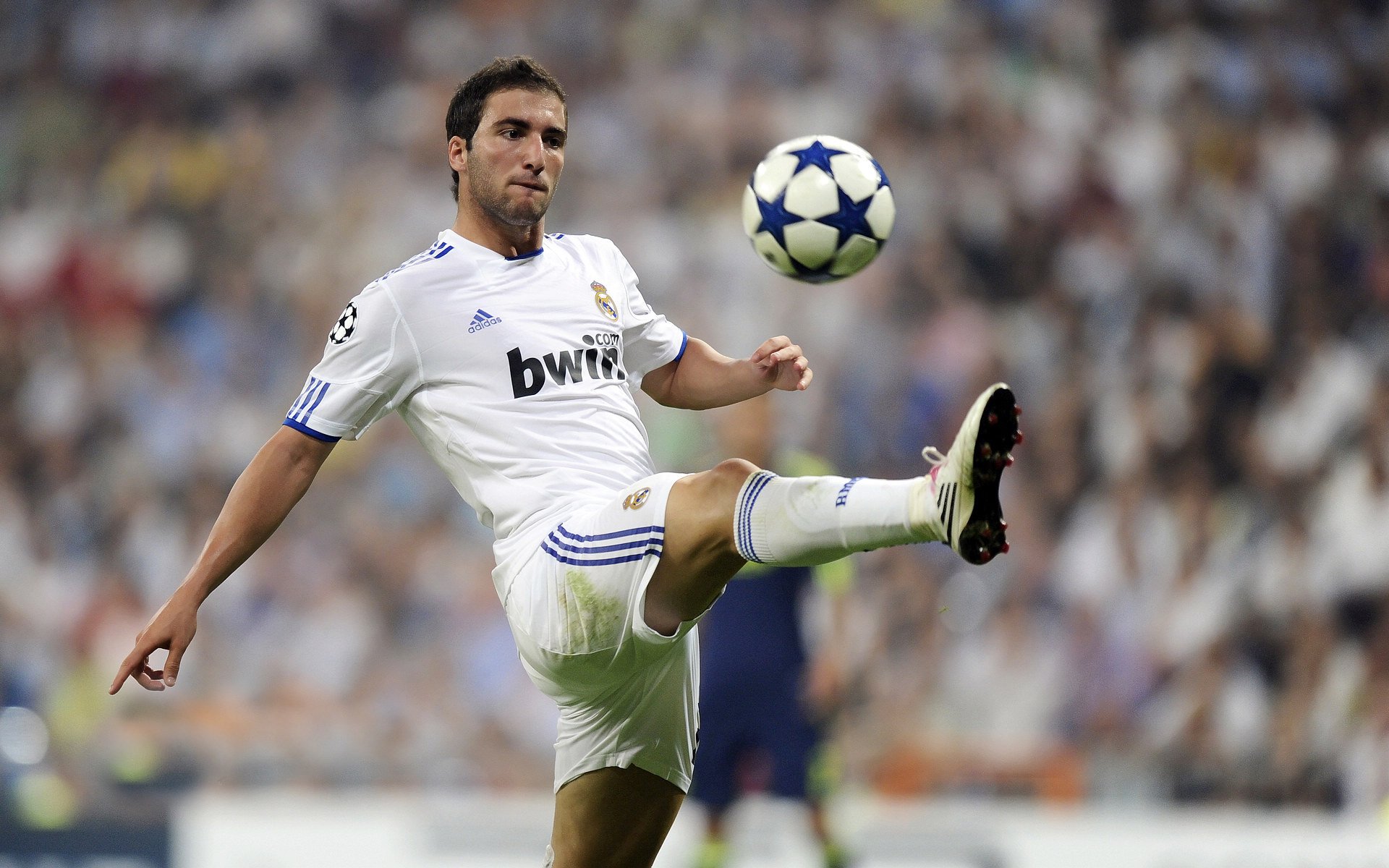 波兰击败奥地利，晋级前途一片光明，波兰对奥地利比分