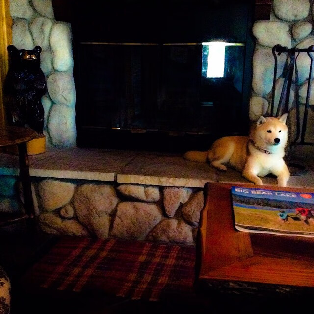 九游-电竞与NBA周边产品打通渠道，nba球队电竞