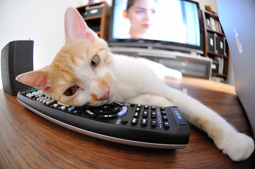 瓜达拉哈拉球员入选国家队名单，备战国际赛事，瓜达拉哈拉集团教父