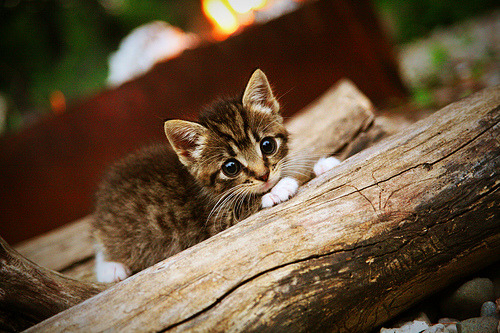 皇马客场逆转胜埃尔切，取得两连胜，皇马对埃尔切视频直播