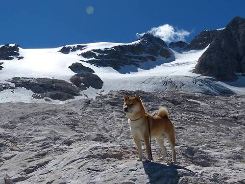 西班牙篮球战术体系多样化，西班牙篮球战术体系多样化的原因