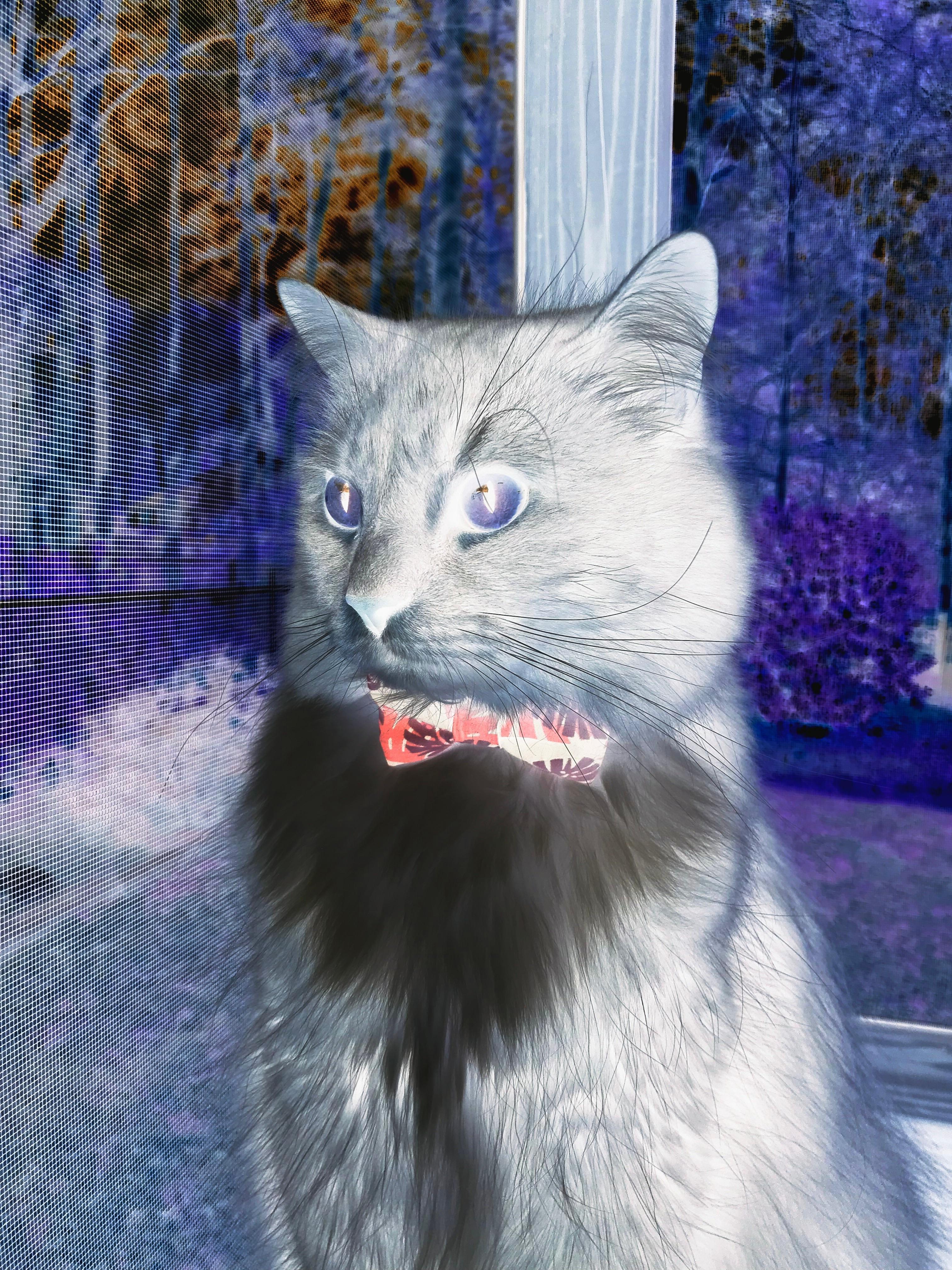 德国马术协会推出马术运动员健康管理系统，关注运动员身心健康。