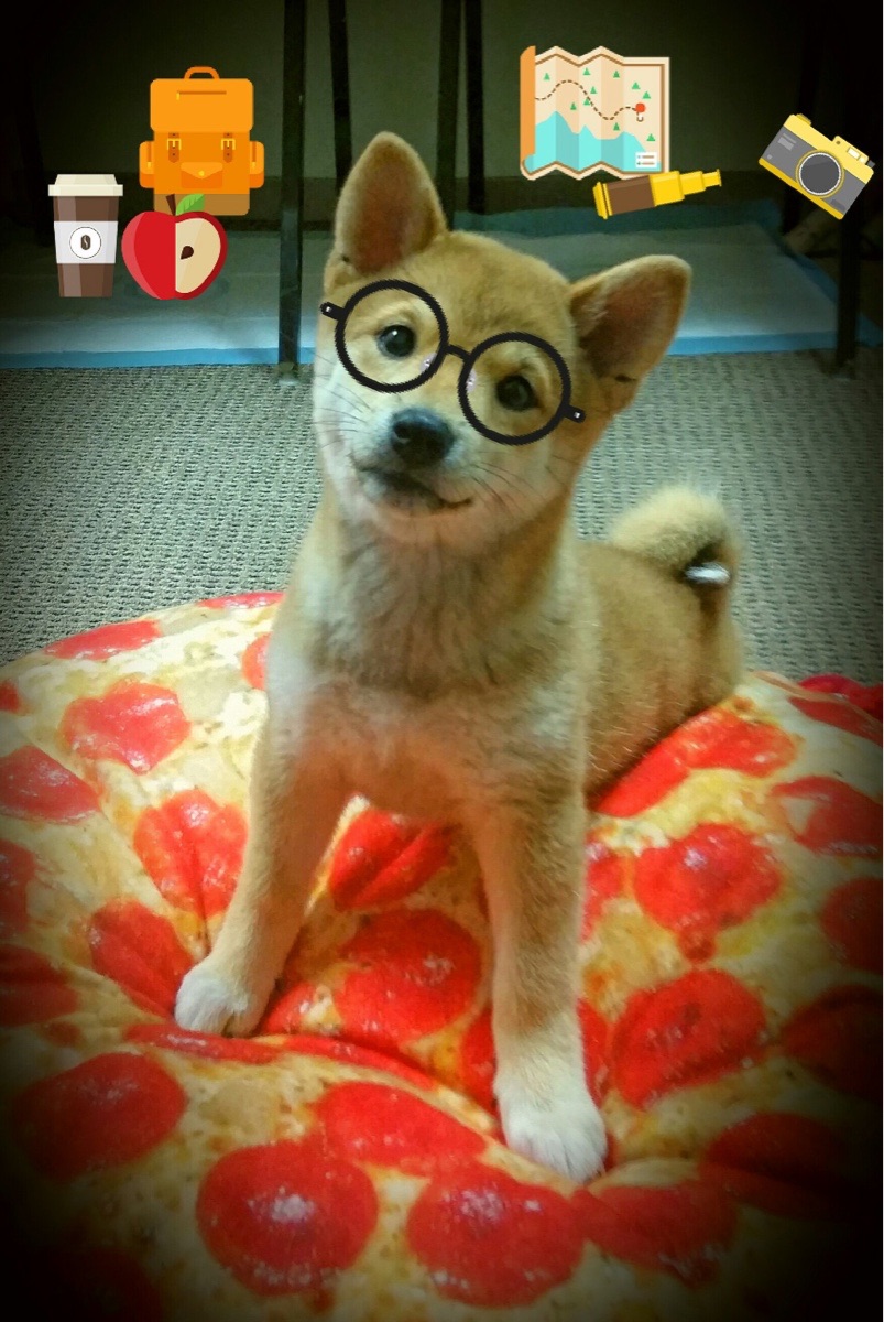 中国篮球俱乐部财务管理现状及优化方案,篮球俱乐部收入来源