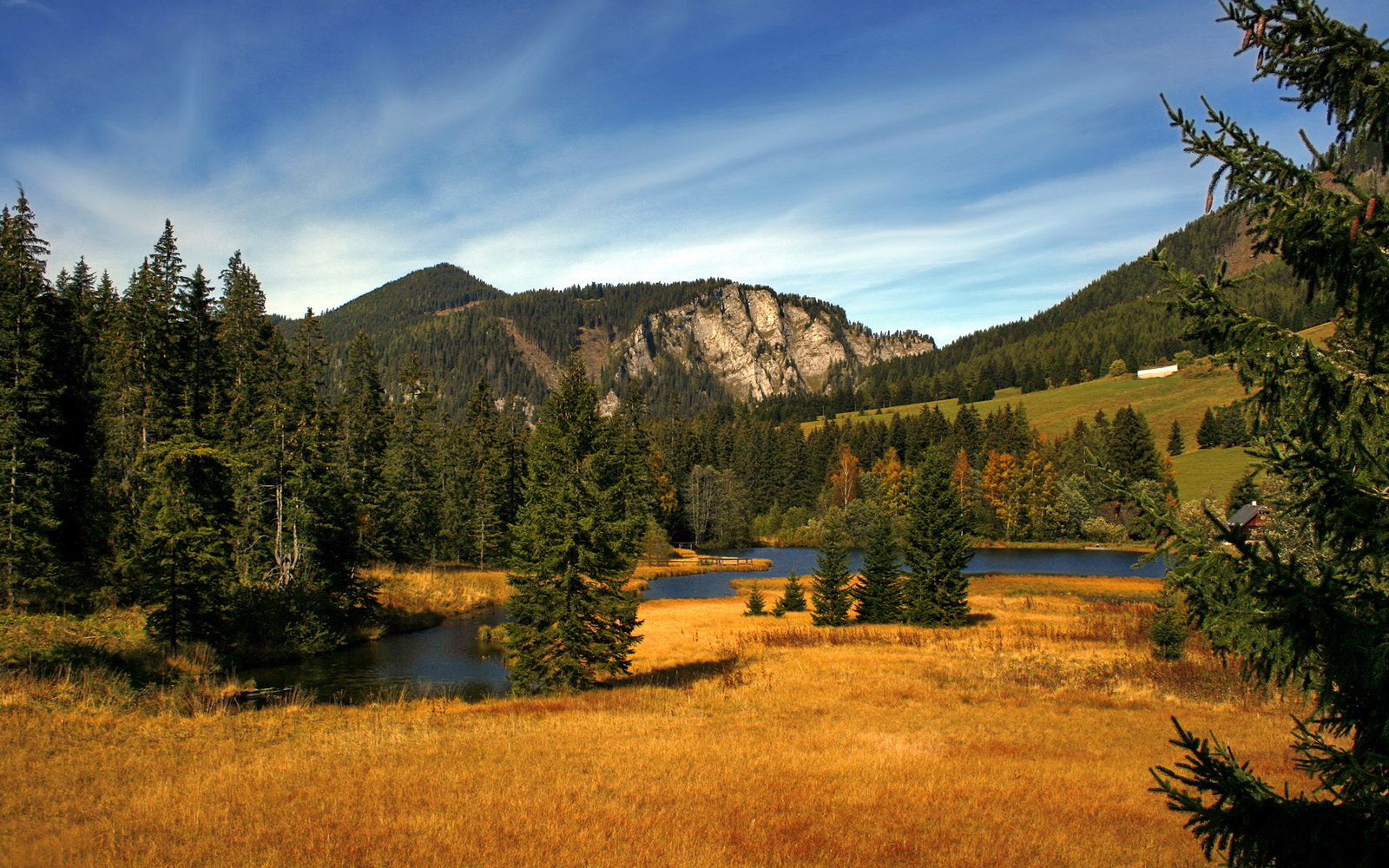 中国足球品牌价值趋势报告，中国知名足球用品品牌