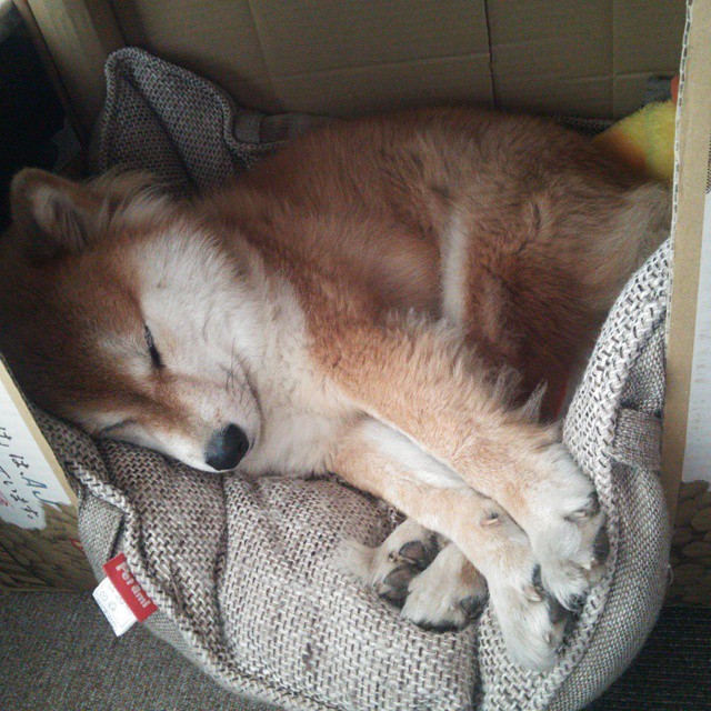 国足比赛数据可视化分析，国足赛事分析