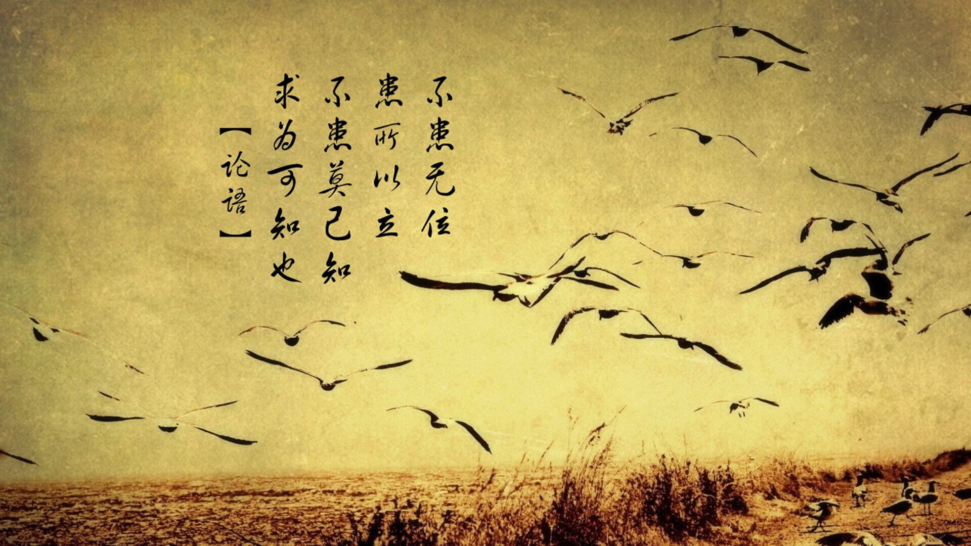 2024年埃及队表现:逐步提升的世界级竞技水平,埃及联赛