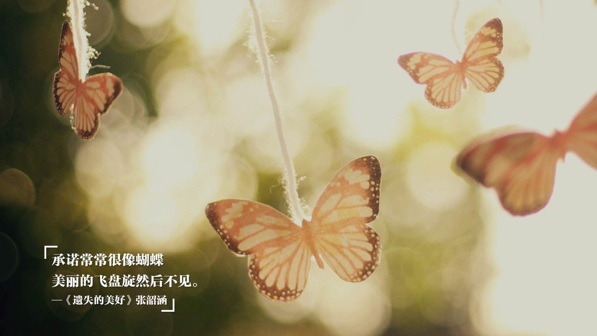 女子自由泳长距离稳居前三,女子自由泳运动员标准