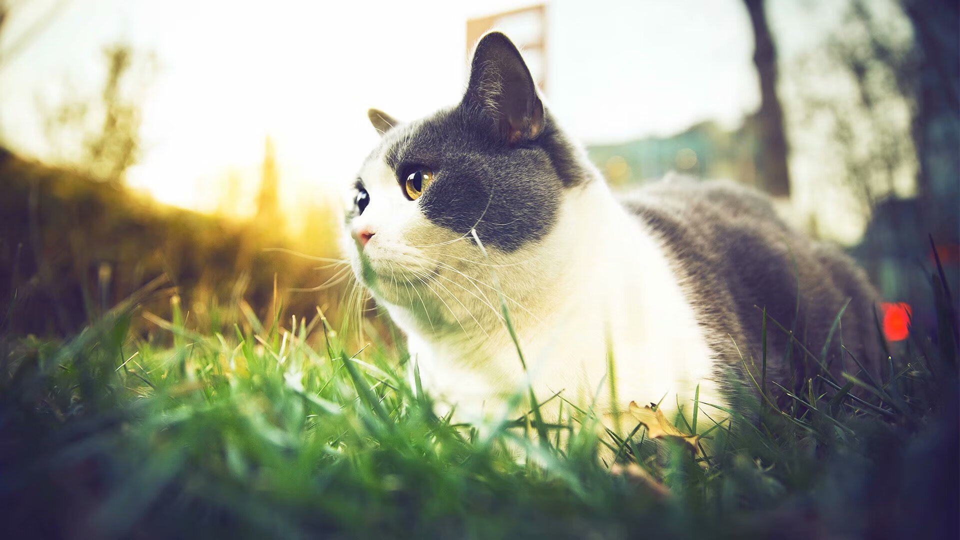 九游app官网下载-皇家贝蒂斯通过中路组织持续控球推进，皇家贝蒂斯对