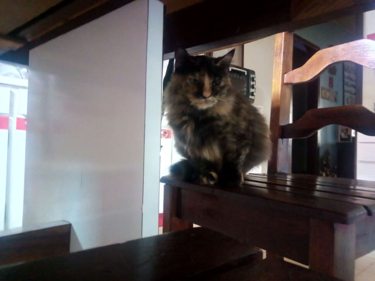 “华金·托比利亚的全场防守与敏锐反应,为阿根廷美洲狮队注入强大动力”