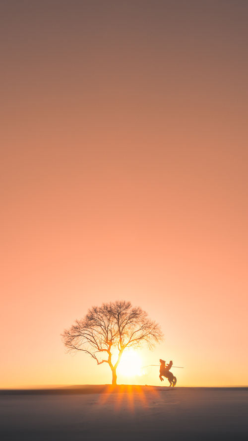 公牛球队合影曝光展现全新阵容活力满满,公牛的球队