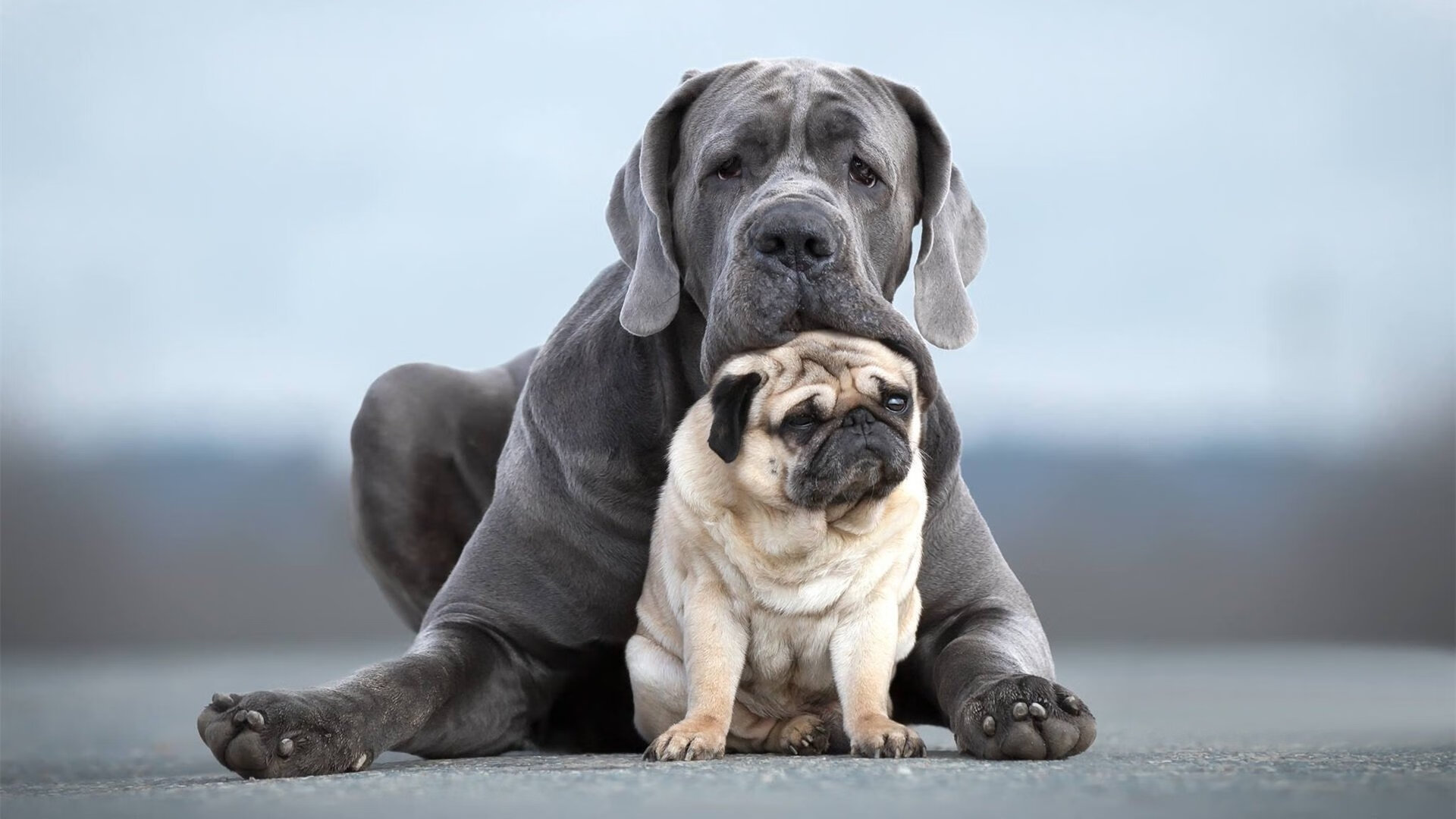 校园足球教练培训课程加入伤病预防知识模块,足球损伤预防的专项训练