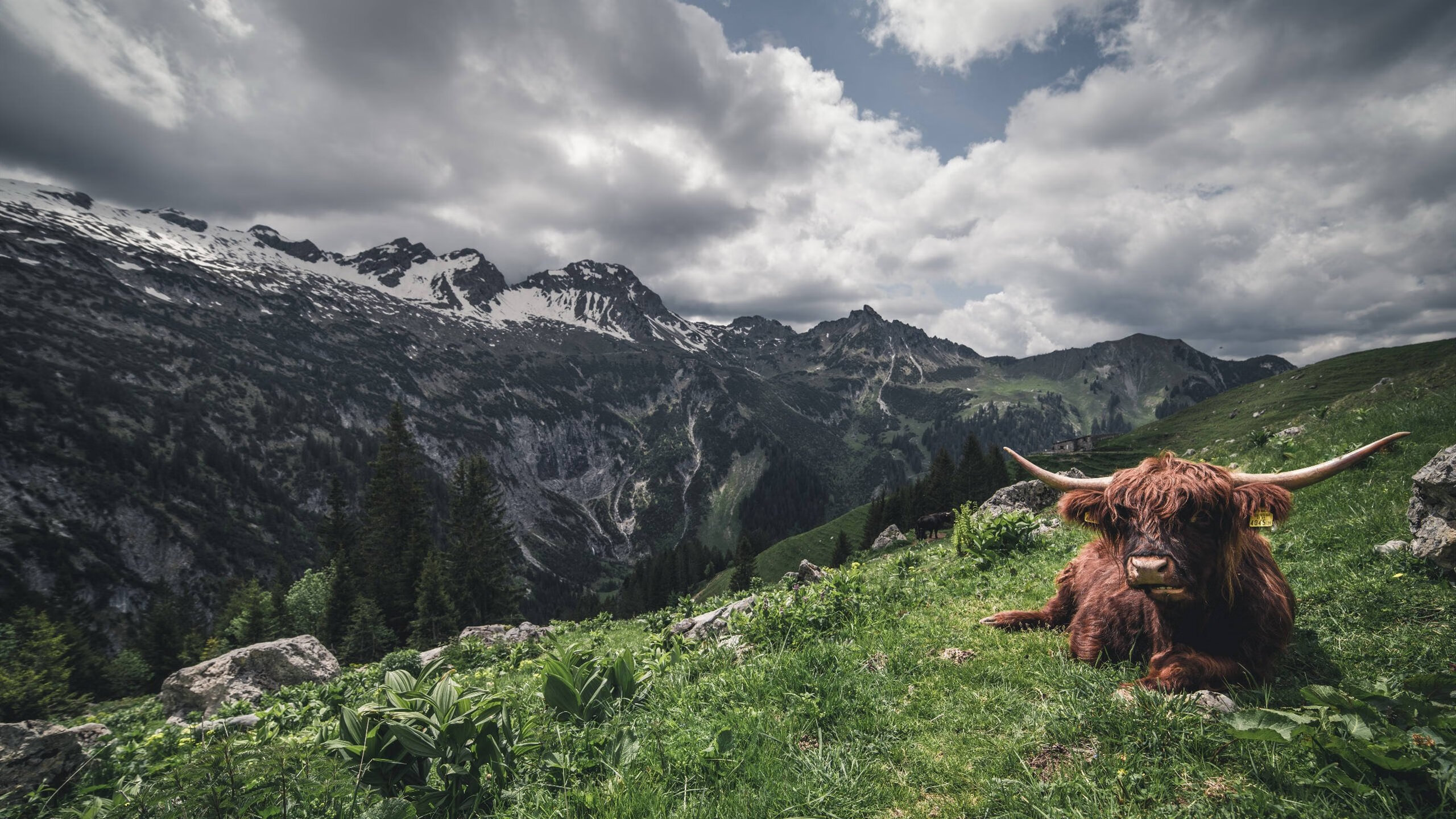 阿森纳青训不断突破,未来巨星频出